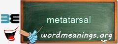 WordMeaning blackboard for metatarsal